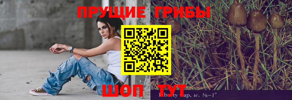 Галлюциногенные грибы GOLDEN TEACHER Звенигород